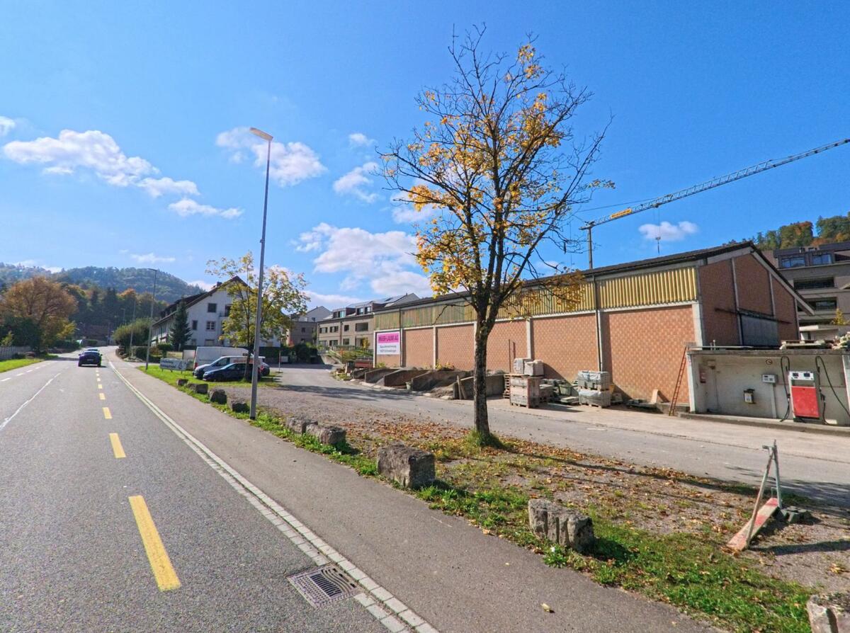 An einer Ausfallstrasse in Siglistorf (5462, Kanton Aargau) liegen Gewerbehallen und Wohnhaeuser, waehrend ein einzelner Baum mit herbstlichem Laub am Strassenrand steht.