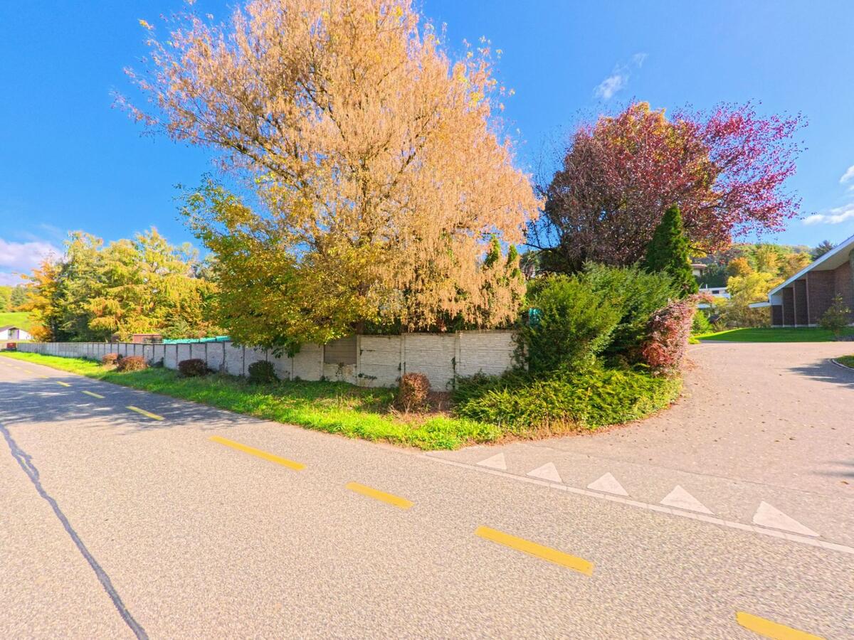 Entlang einer ruhigen Strasse in Siglistorf (5462, Kanton Aargau) stehen herbstlich gefaerbte Baeume und dichter Bewuchs neben einer Einfahrt zu angrenzenden Gebaeuden.