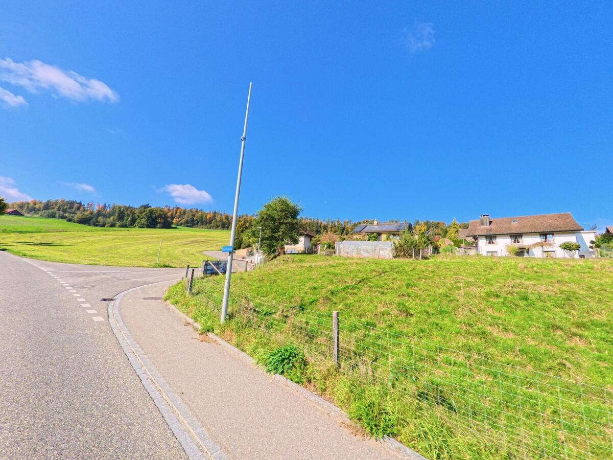 Am Rand eines sanft ansteigenden Huegels in Siglistorf (5462, Kanton Aargau) stehen einzelne Wohnhaeuser oberhalb einer kurvigen Strasse mit weitem Blick ueber die Wiesen.