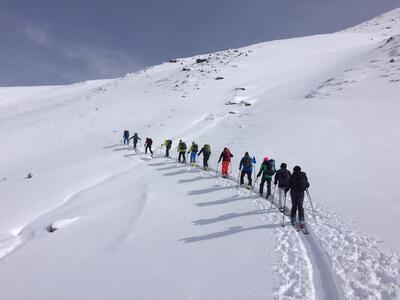 In Feusisberg (8834, Kanton Schwyz) steigt eine Gruppe des Skiclub Schindellegi bei einer Skitour in gleichmaessiger Spur einen verschneiten Hang hinauf.