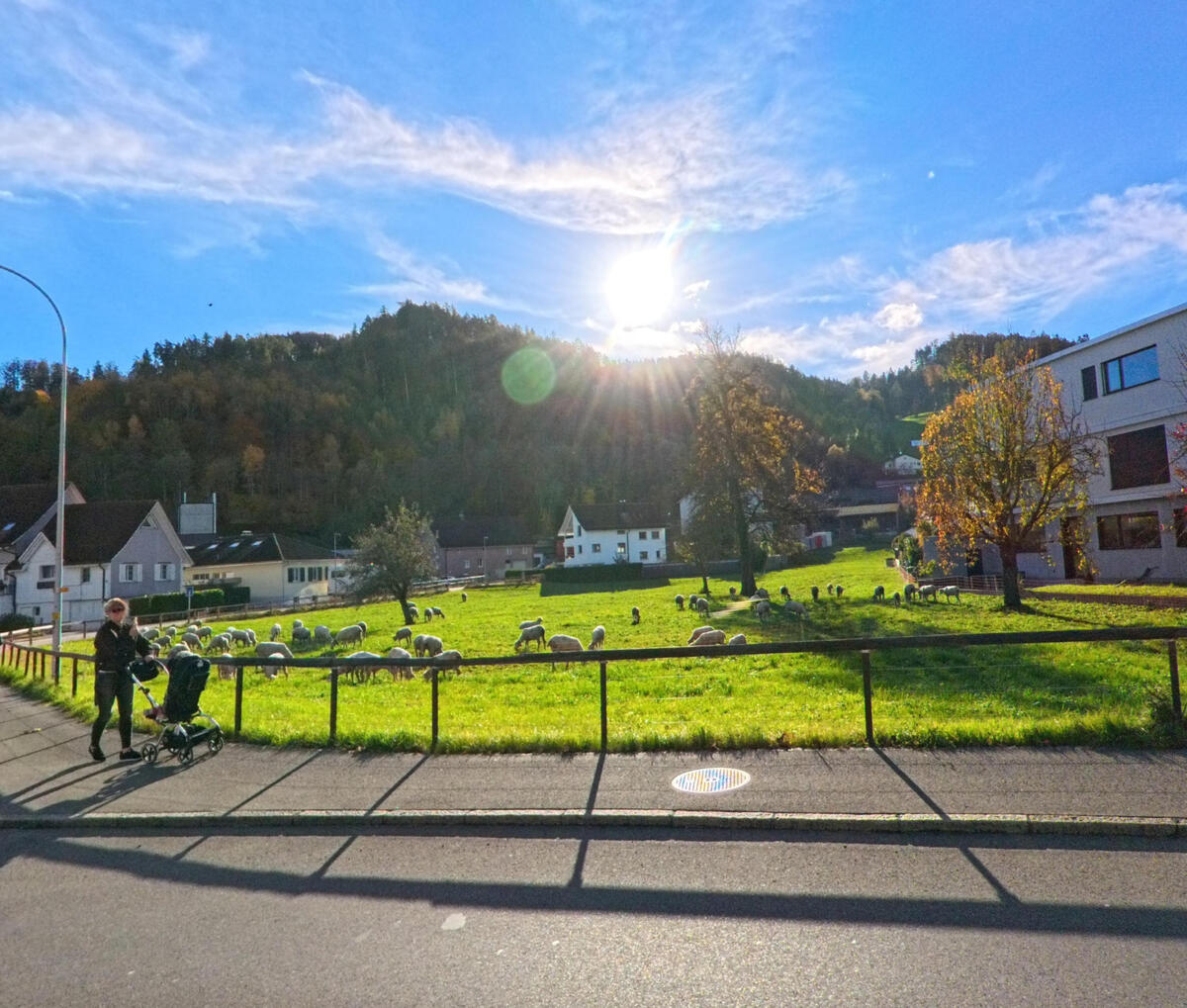 Eine Weideflaeche mit Zaun erstreckt sich vor den Haeusern in St. Margrethen (9430, Kanton St. Gallen) bei tiefstehender Sonne.