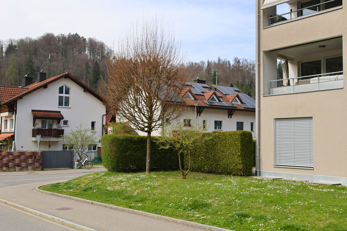 In Stallikon (8143, Kanton Zürich) reihen sich Ein- und Mehrfamilienhäuser mit Solaranlagen an einem begrünten Strassenabschnitt am Waldrand.