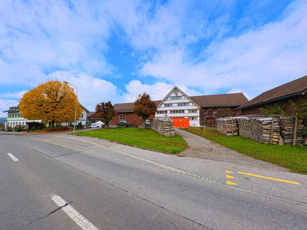 In Stein (9063, Kanton Appenzell Ausserrhoden) fuehrt ein Weg zwischen gestapeltem Brennholz zu einem traditionellen Bauernhaus, waehrend links ein grosser Baum die Strasse saeumt.