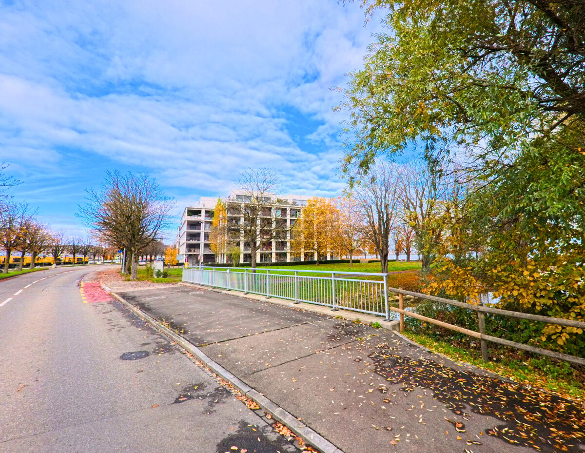 Ein Gehweg mit Brueckengelander fuehrt entlang eines Quartiers in Steinach (9323, Kanton St. Gallen).