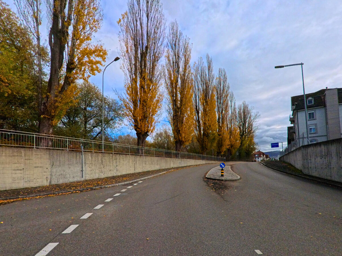 Eine Strasse mit Allee fuehrt durch ein Wohngebiet von Steinach (9323, Kanton St. Gallen) im Herbst.