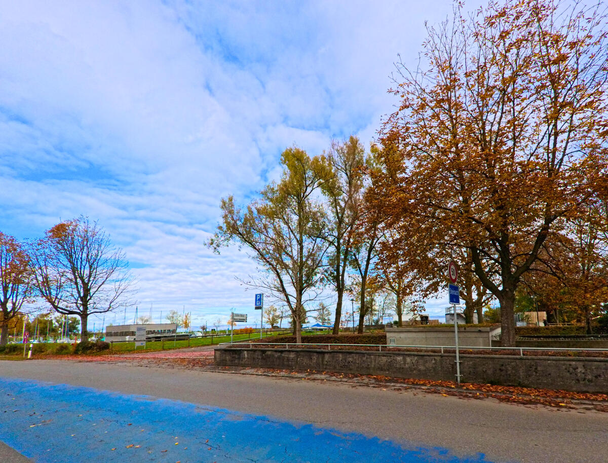 Entlang einer Strasse mit Baeumen zeigt sich der Strassenrand von Steinach (9323, Kanton St. Gallen) bei herbstlichem Licht.