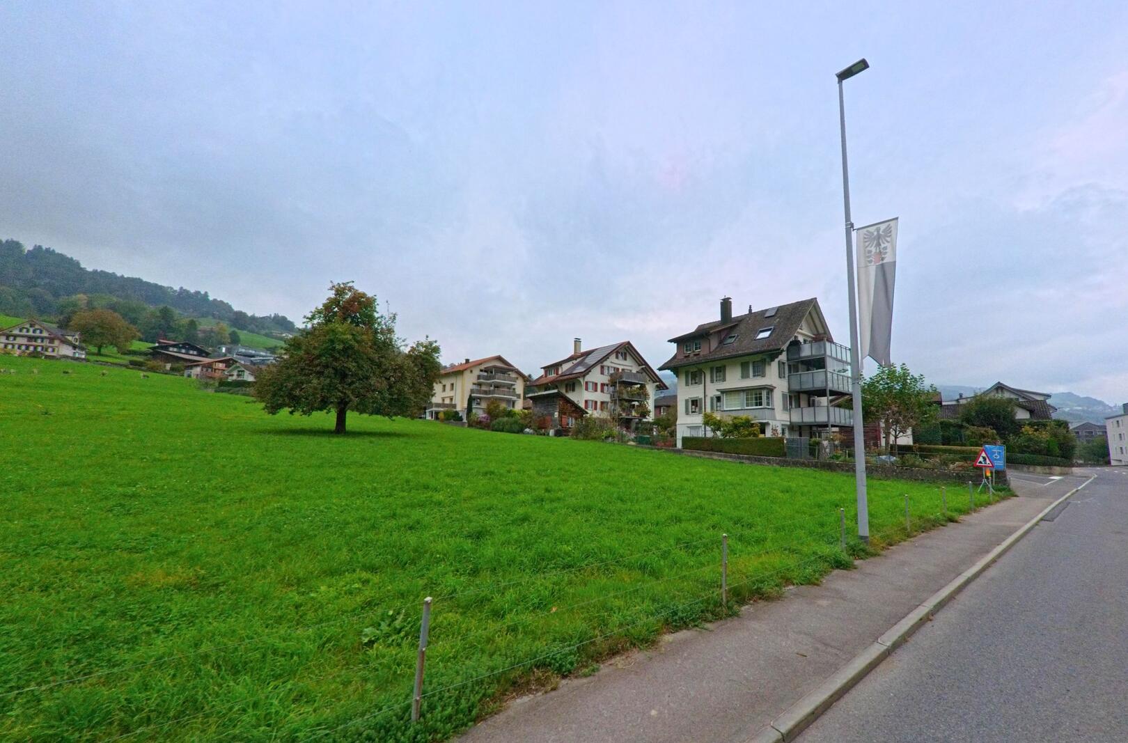 Auf einer offenen Wiese in Steinen (6422, Kanton Schwyz) stehen mehrere Wohnhaeuser am leicht ansteigenden Hang, waehrend ein einzelner Baum im Vordergrund die Szene praegt.