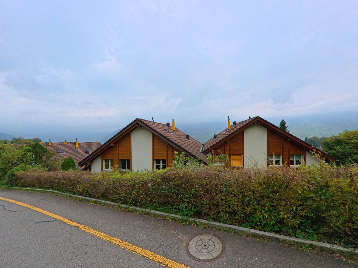 Reihenhaeuser mit holzverkleideten Fassaden liegen in Steinerberg (6416, Kanton Schwyz) hinter einer niedrigen Hecke, waehrend im Hintergrund ein nebeliger Berghang sichtbar ist.
