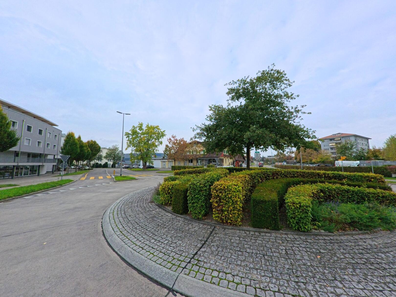 Ein begruenter Kreisverkehr mit gepflegten Hecken und einem grossen Baum praegt das Strassenbild in Steinhausen (6312, Kanton Zug) an einem bedeckten Tag.