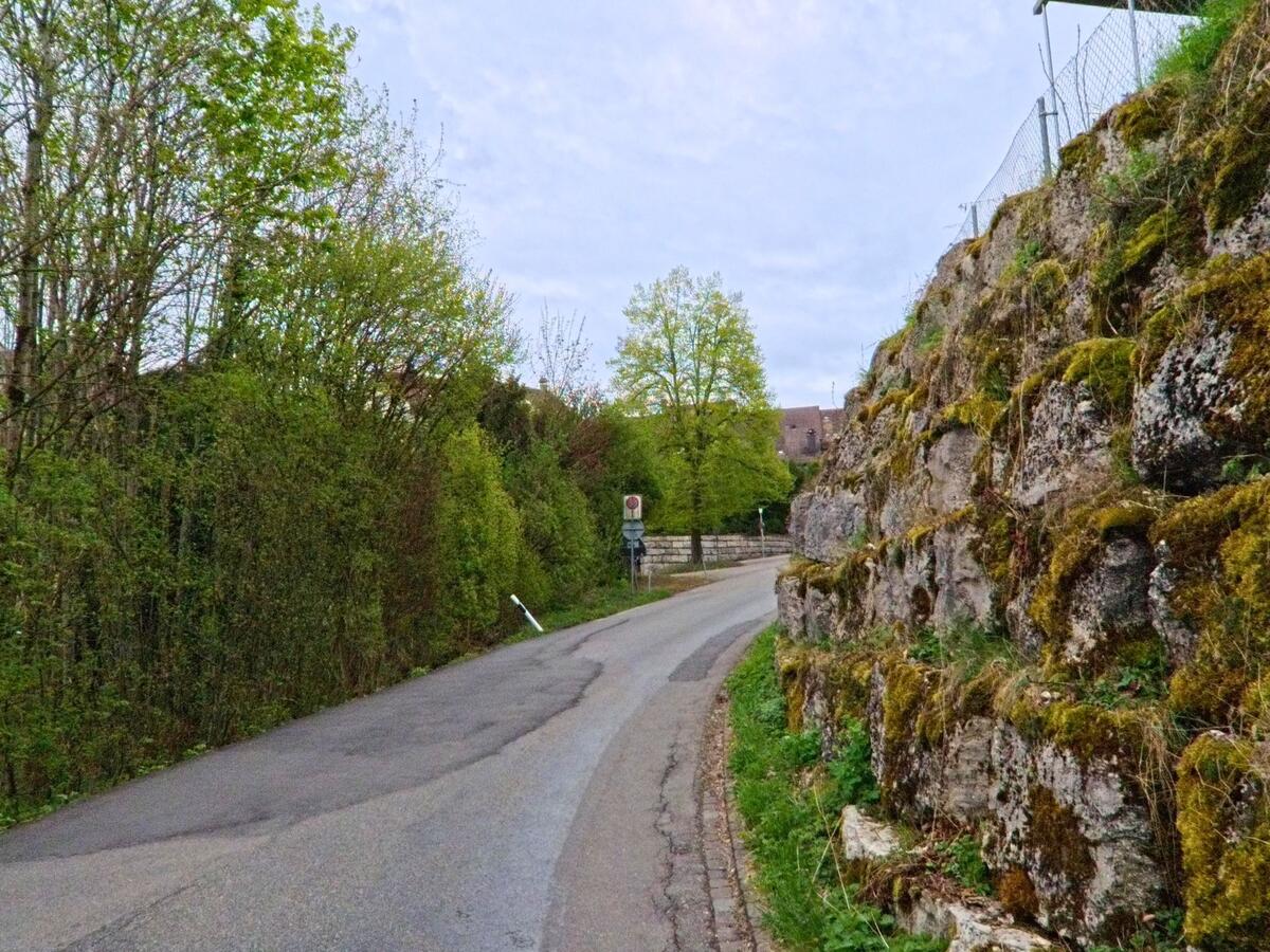 Eine schmale Strasse in Steinmaur (8162, Kanton Zürich) verläuft zwischen einem mit Moos bewachsenen Felshang und dichtem Gebüsch in Richtung einer Siedlung.