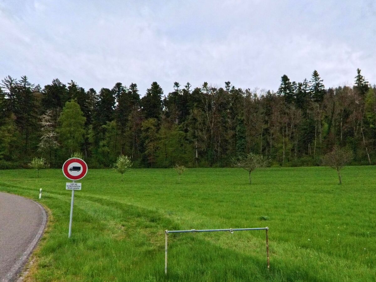 Eine grüne Wiese mit jungen Bäumen erstreckt sich in Steinmaur (8162, Kanton Zürich) vor einem dichten Wald, begleitet von einem Fahrverbotsschild am Strassenrand.