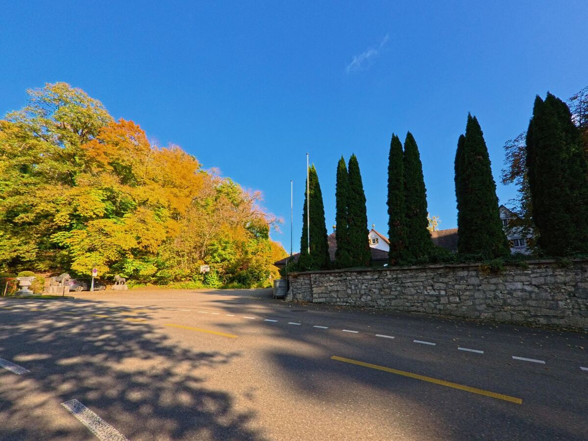 Eine Natursteinmauer mit Bäumen begleitet den Strassenverlauf in Stetten (8234, Kanton Schaffhausen).