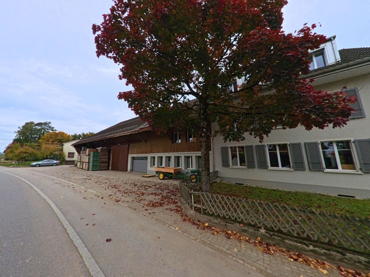 Vor einem landwirtschaftlich genutzten Gebaeude in Stettfurt (9507, Kanton Thurgau) steht ein Baum mit rotem Herbstlaub entlang einer ruhigen Dorfstrasse.
