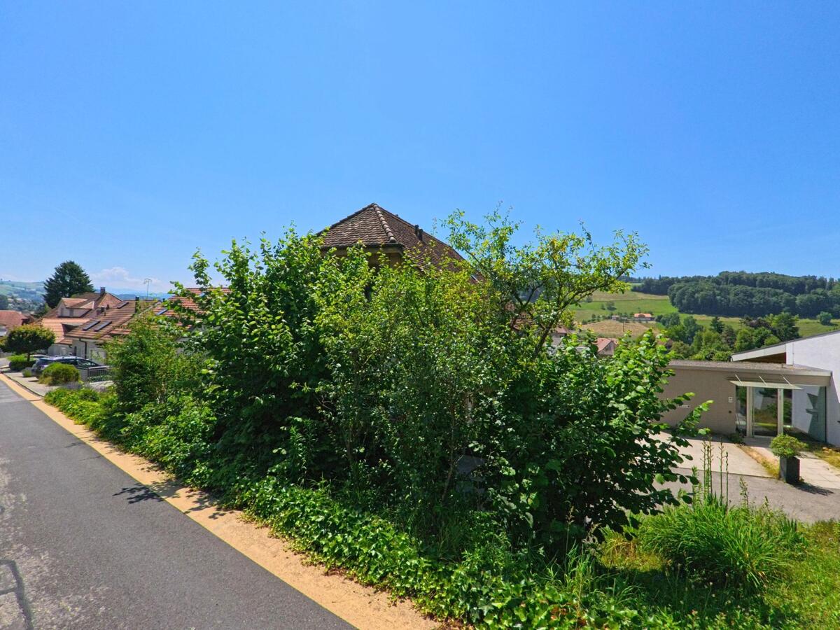 In Stettlen (3066, Kanton Bern) führt eine Strasse entlang von grünen Hecken und Büschen, mit einem klaren Blick auf die benachbarten Häuser und Hügel im Hintergrund.