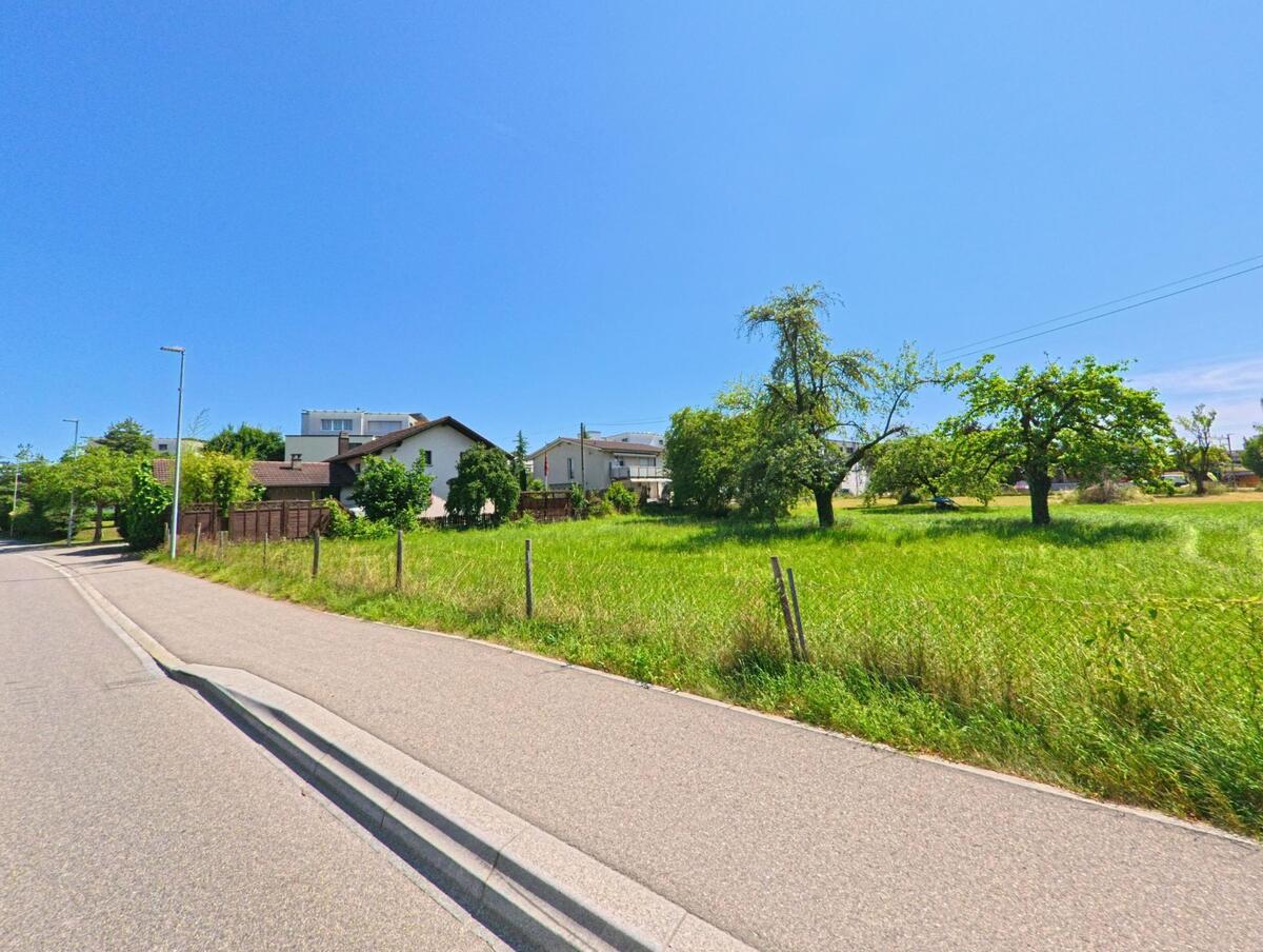 In Studen (2557, Kanton Bern) führt eine Strasse entlang eines grünen Feldes mit einigen Bäumen, während Häuser am Rand sichtbar sind.