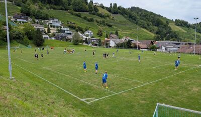 Auf dem Sportplatz in Berneck (9442, Kanton St.Gallen) trainieren mehrere Gruppen auf dem Rasen vor Weinbergen und Wohnhaeusern am Hang.