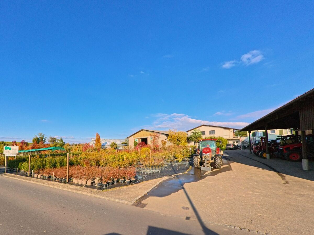 Auf einem landwirtschaftlich genutzten Areal mit Baumschule und Maschinenhof zeigt sich ein Traktor zwischen Pflanzenreihen in Sulgen (8583, Kanton Thurgau) bei klarem Himmel.
