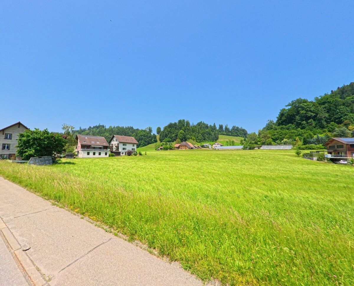In Sumiswald (3457, Kanton Bern) führt eine Strasse entlang von Häusern und weiten Wiesen, die in sanfte Hügel übergehen und von Bäumen umgeben sind.