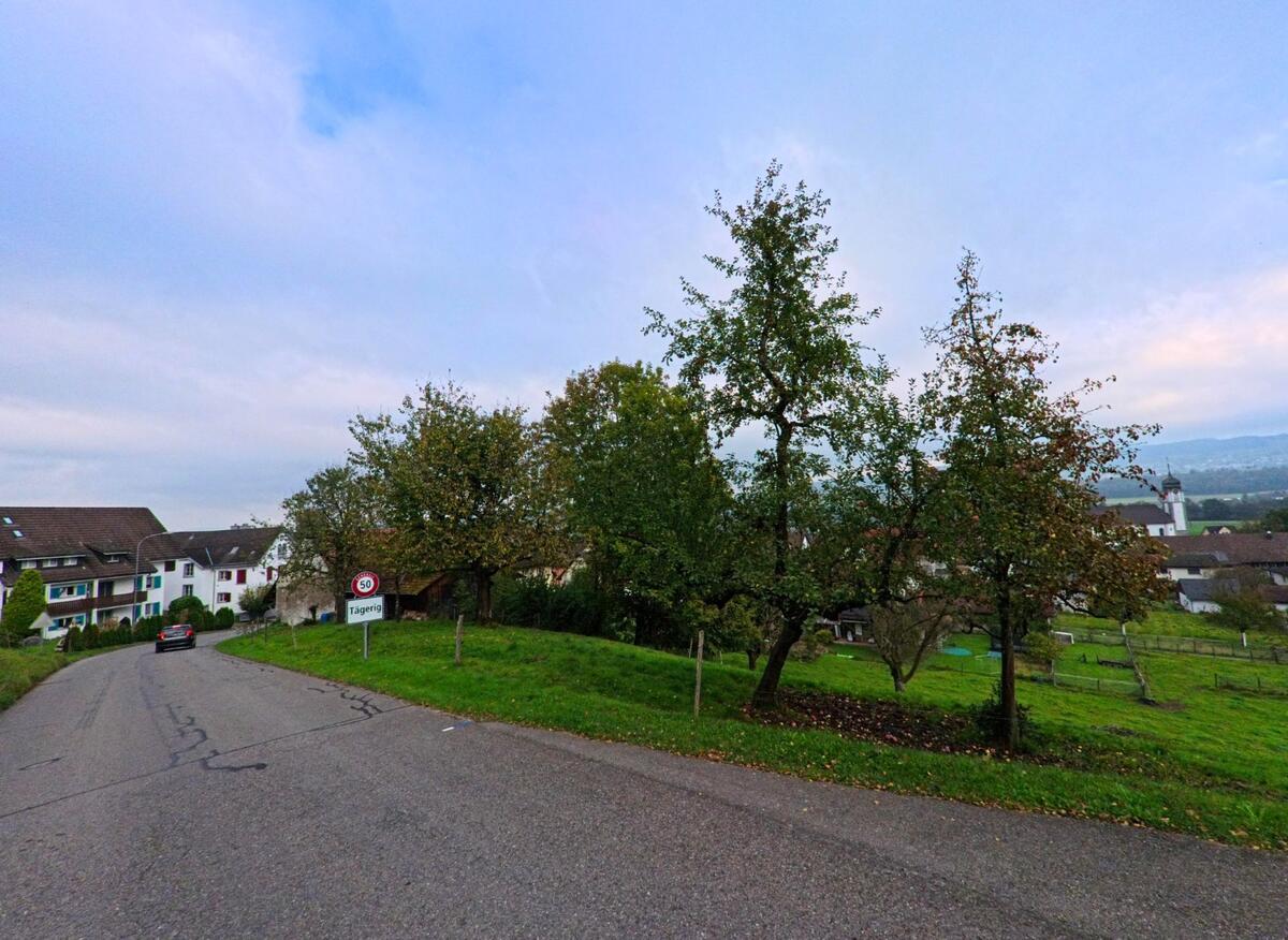 Beim Ortseingang von Tägerig (5522, Kanton Aargau) führt eine sanft abfallende Strasse an Obstbäumen und angrenzenden Wiesen vorbei.