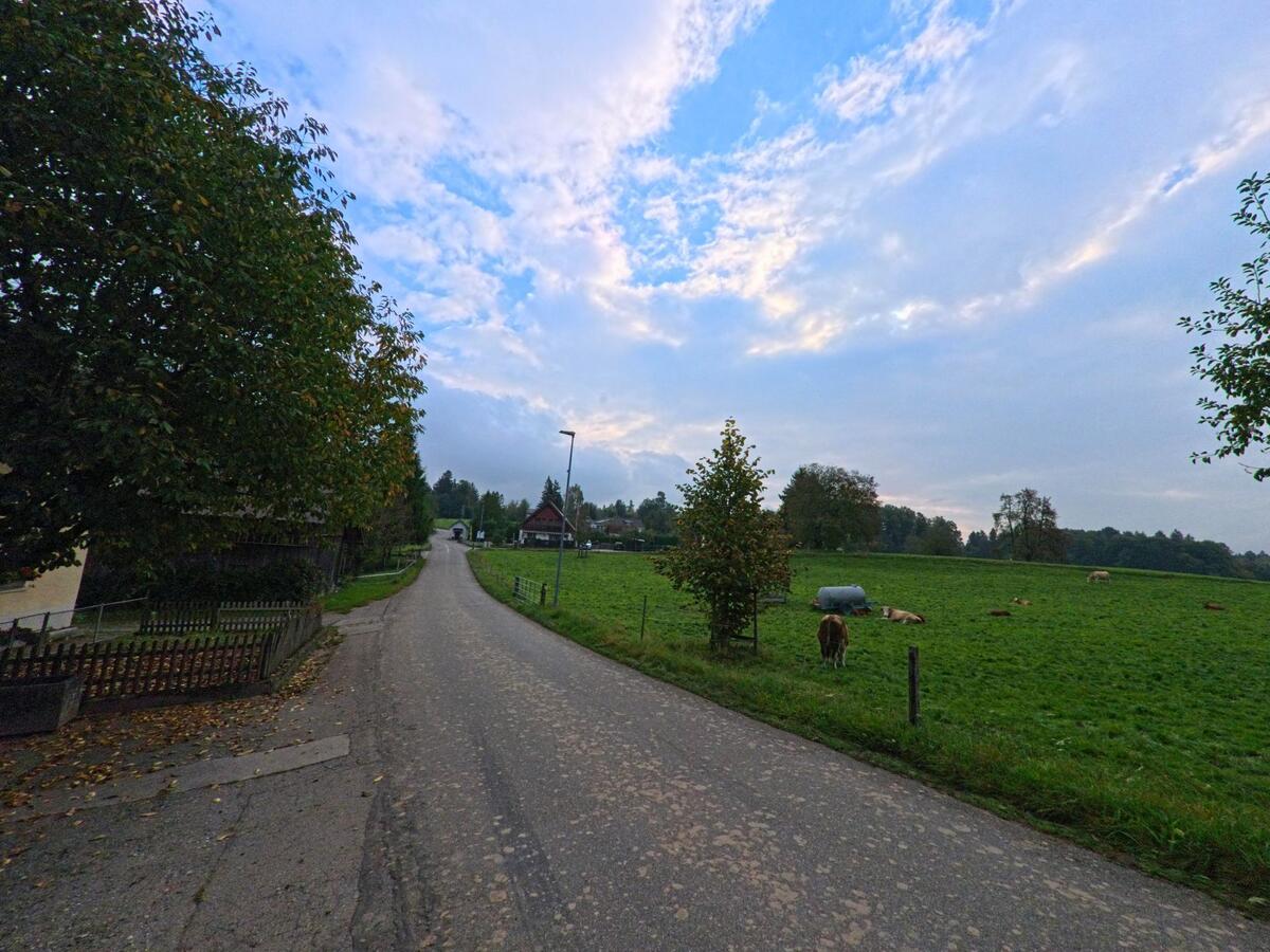 Am Ortsrand von Tägerig (5522, Kanton Aargau) verläuft ein schmaler Weg an einer Weide entlang, auf der mehrere Kühe grasen und ruhen.