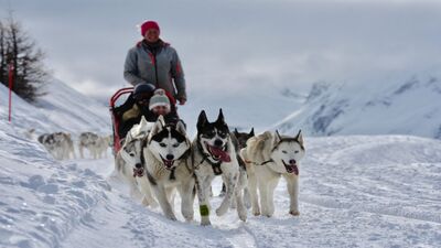 Bei Takitrek in Bruson (1934, Kanton Wallis) zieht ein Huskygespann einen Schlitten mit Teilnehmenden durch die verschneite Berglandschaft.
