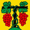 Tartegnin