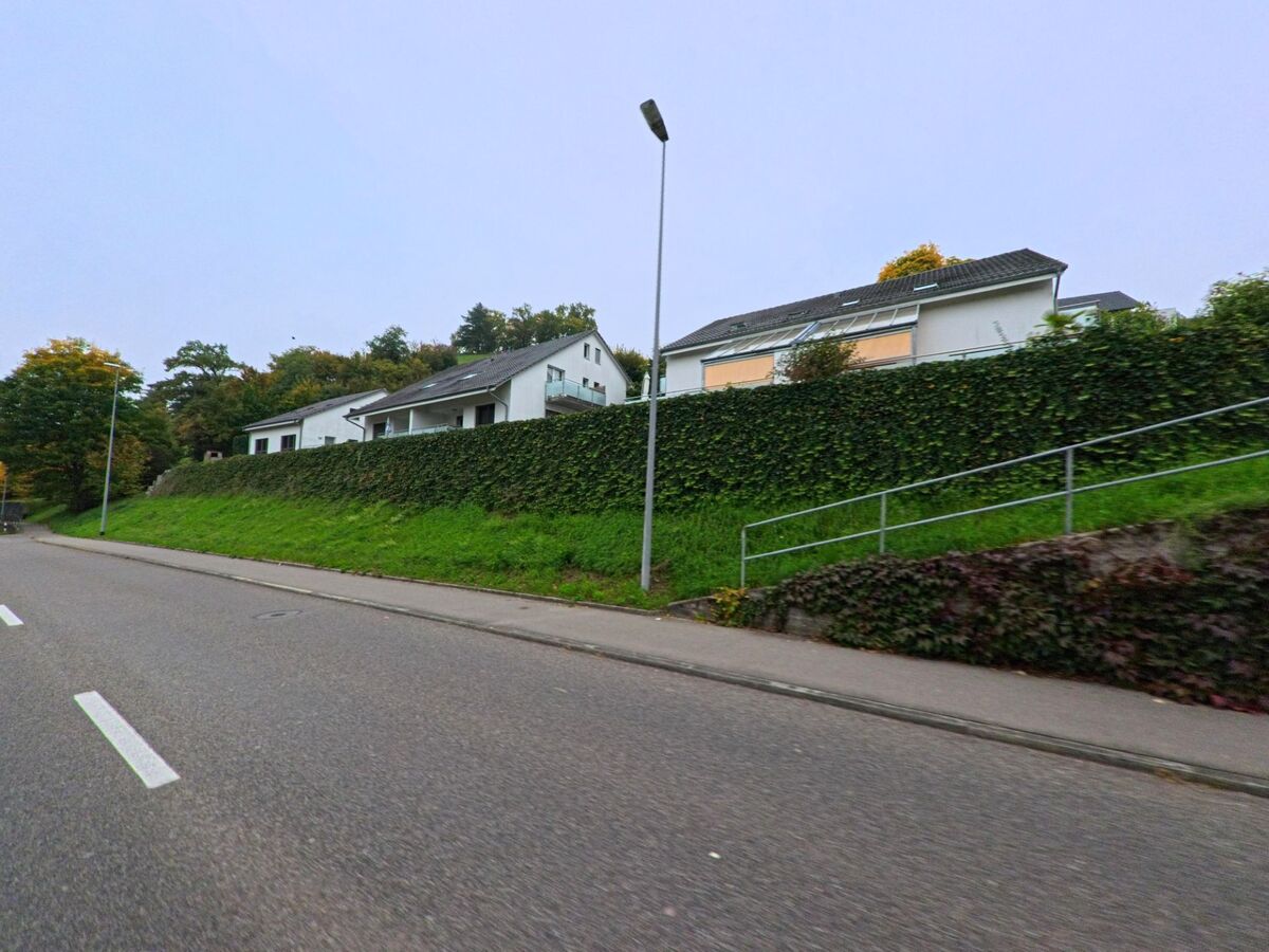 Oberhalb einer Strasse in Tegerfelden (5306, Kanton Aargau) stehen mehrere Wohnhaeuser hinter einer dicht bewachsenen Hecke auf einem ansteigenden Gruenstreifen.