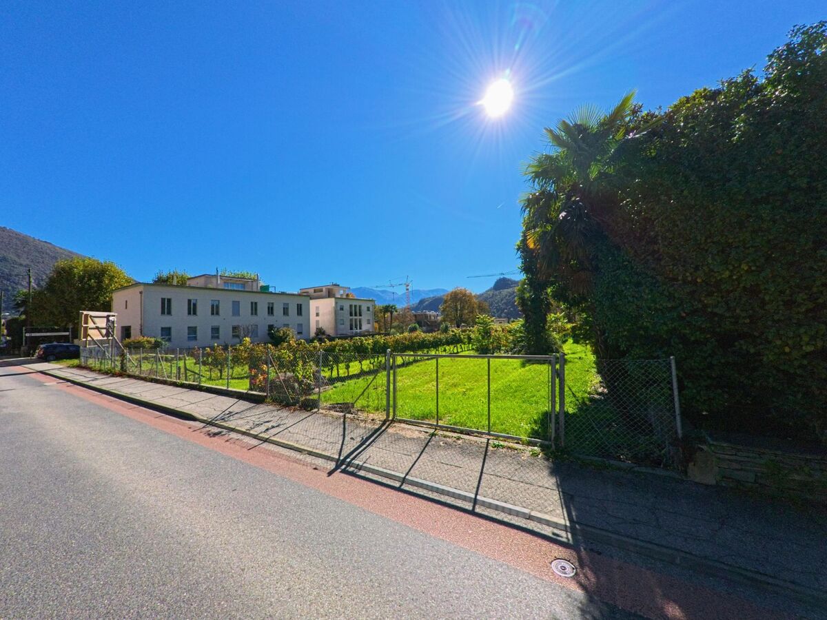 Am Rand von Terre di Pedemonte (6654, Kanton Tessin) steht ein modernes Wohngebäude neben einer grünen Wiese und Palmen, beleuchtet von der intensiven Mittagssonne.