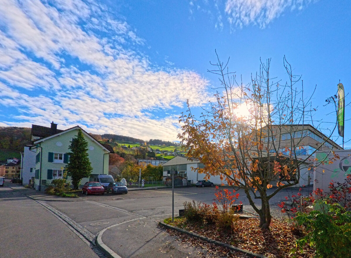 Ein Platz mit Baum und angrenzenden Strassen bildet einen ruhigen Knotenpunkt in Thal (9425, Kanton St. Gallen).