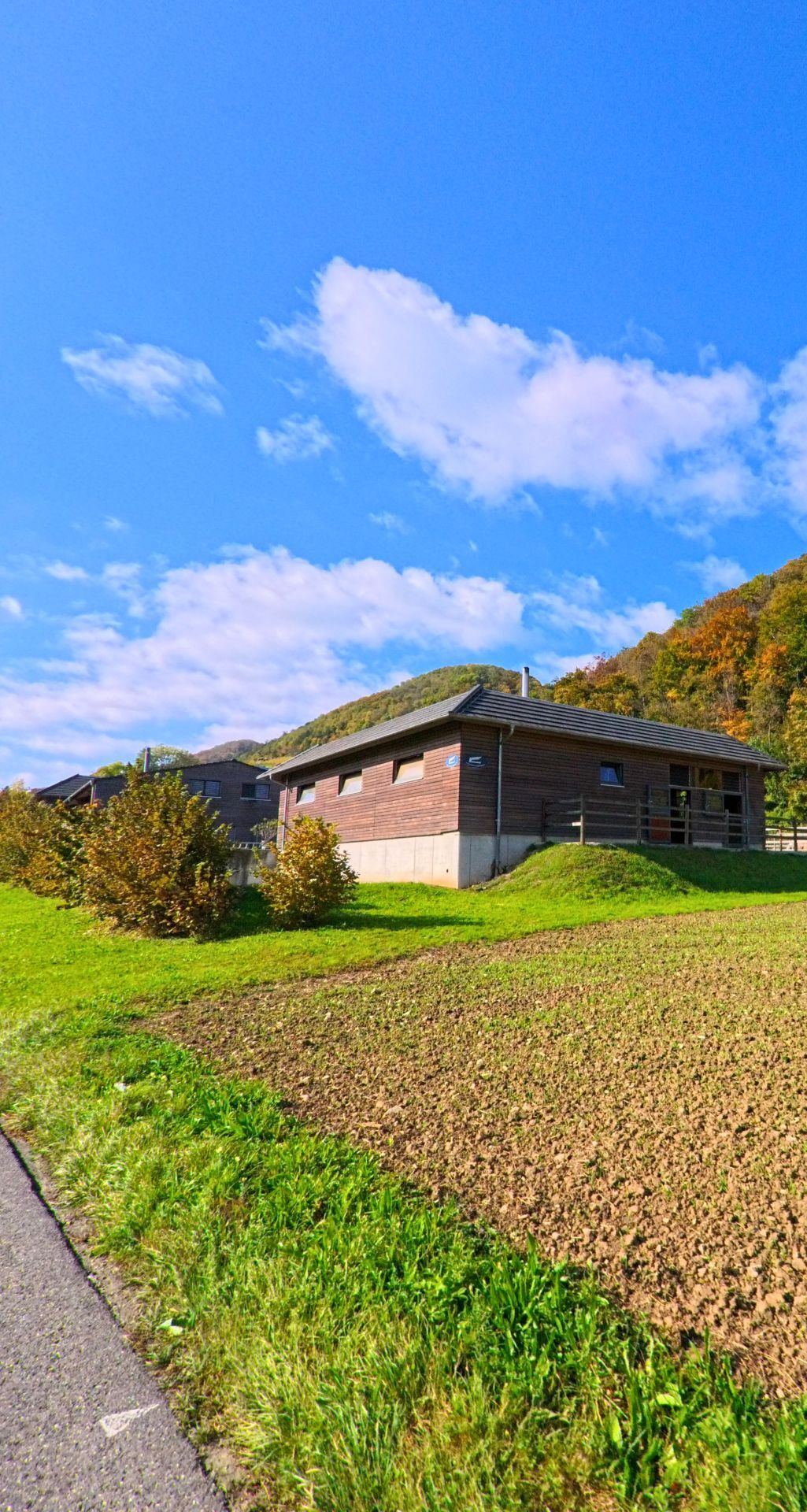 Am Rand von Thalheim (5112, Kanton Aargau) steht ein Holzgebaeude auf einer leichten Anhöhe, waehrend dahinter der bewaldete Huegel unter blauem Himmel ansteigt.