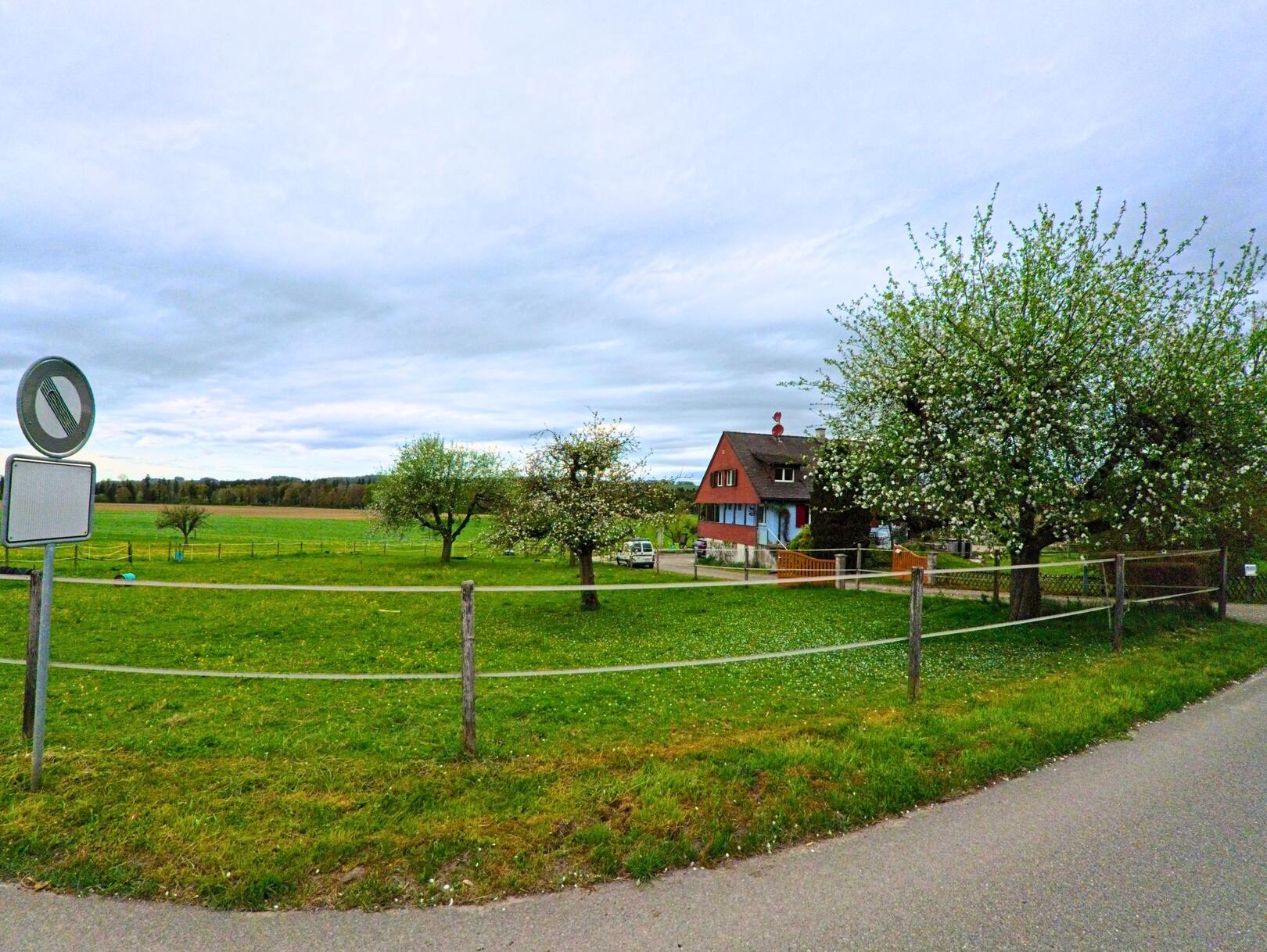 Am Ortseingang von Thalheim an der Thur (8478, Kanton Zürich) zeigt ein Schild den Übergang von Altikon in eine grüne Landschaft mit Obstbäumen und einem Bauernhaus.