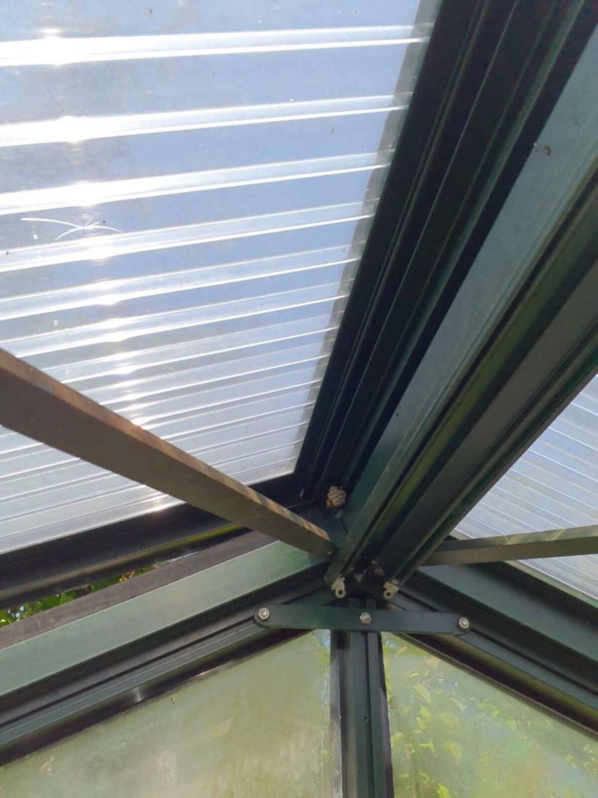  In einem Gewächshaus in Thalheim an der Thur (8478, Kanton Zürich) befindet sich ein kleines Wespennest gut sichtbar an einer Metallverbindung unter dem transparenten Dach.