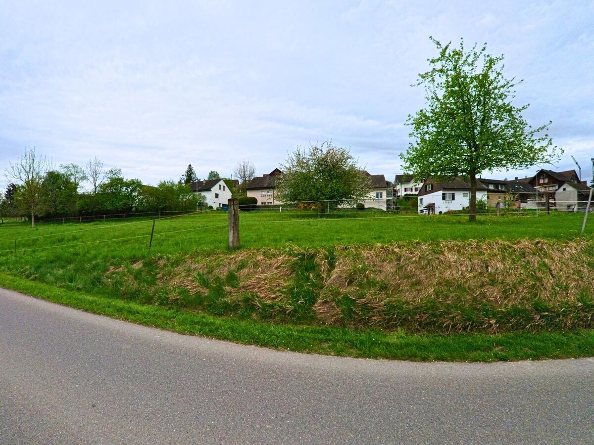 In Thalheim an der Thur (8478, Kanton Zürich) erstreckt sich eine grüne Wiese entlang einer schmalen Strasse mit Blick auf verstreute Wohnhäuser am Ortsrand.