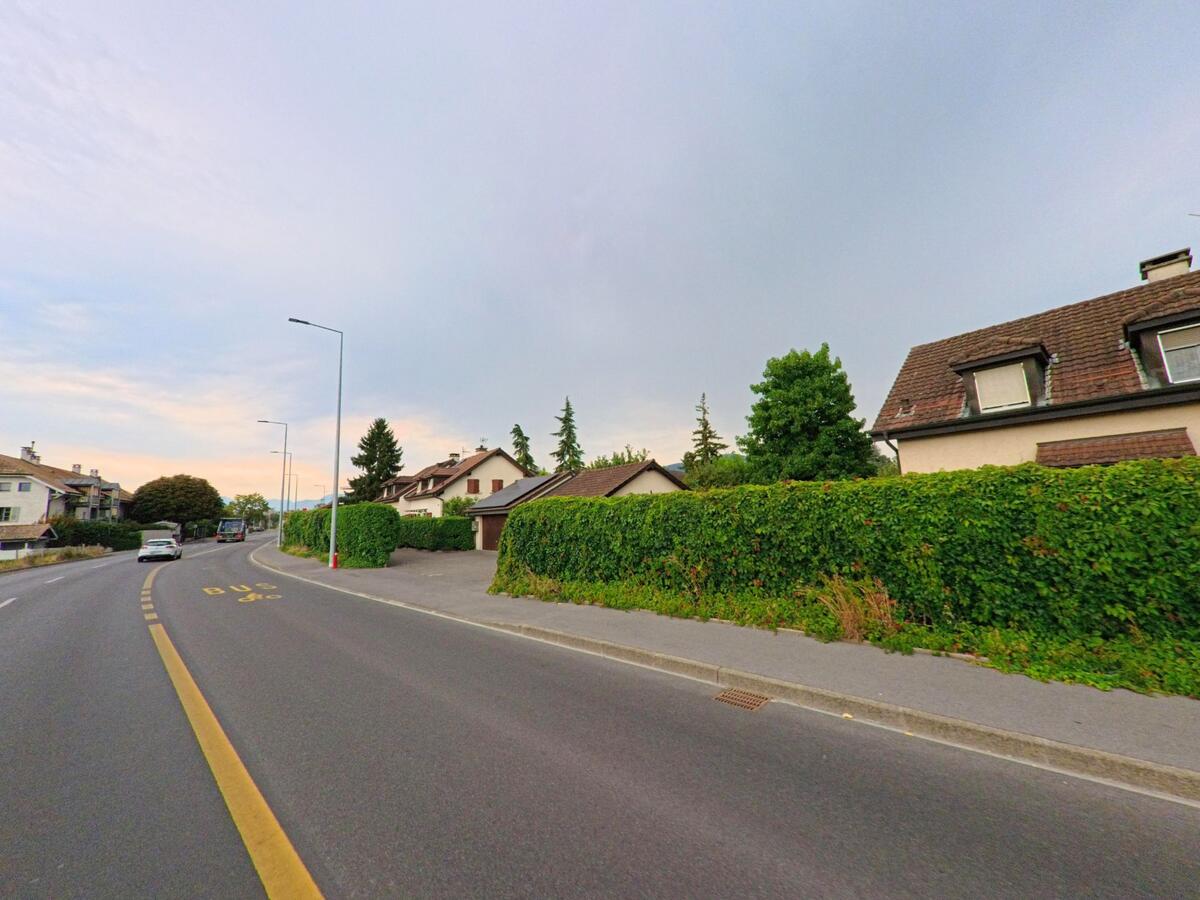 Entlang einer Hauptstrasse in Thonex (1226, Kanton Genf) stehen Einfamilienhaeuser mit gepflegten Hecken und roten Ziegeldächern.