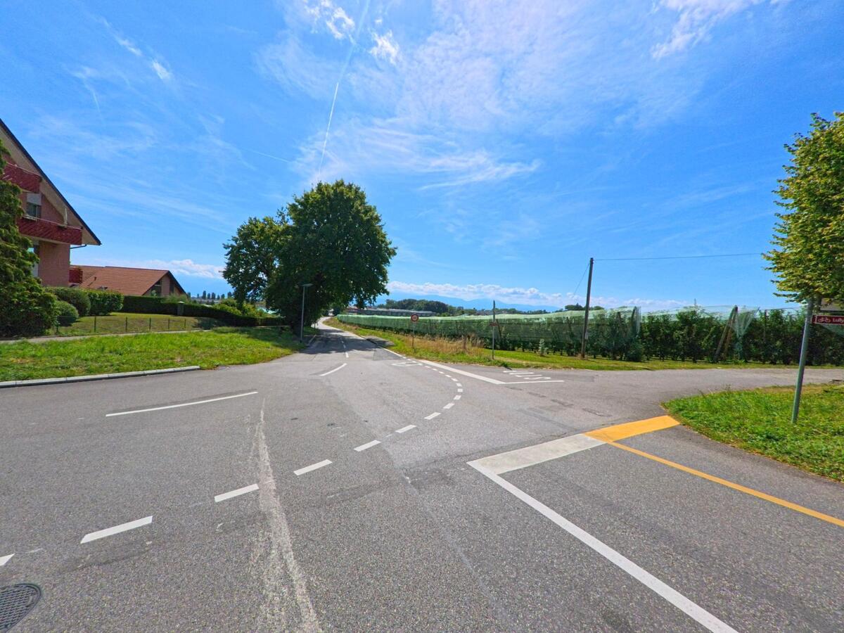 Eine Strasse fuehrt aus Tolochenaz (1131, Kanton Waadt) hinaus vorbei an Feldern und Obstplantagen, links stehen Wohnhaeuser mit roten Daechern.