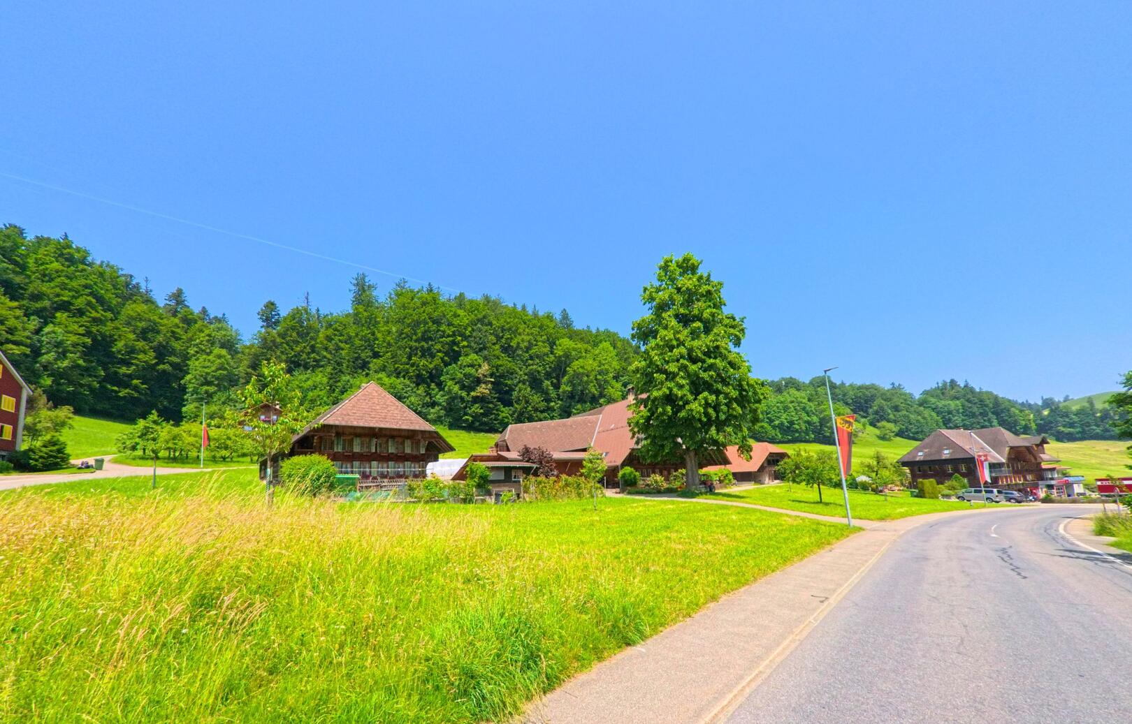 In Trachselwald (PLZ 3453, Kanton Bern) reihen sich mehrere Bauernhäuser mit typischer Emmentaler Architektur entlang einer sanft geschwungenen Dorfstrasse vor bewaldeten Hügeln.