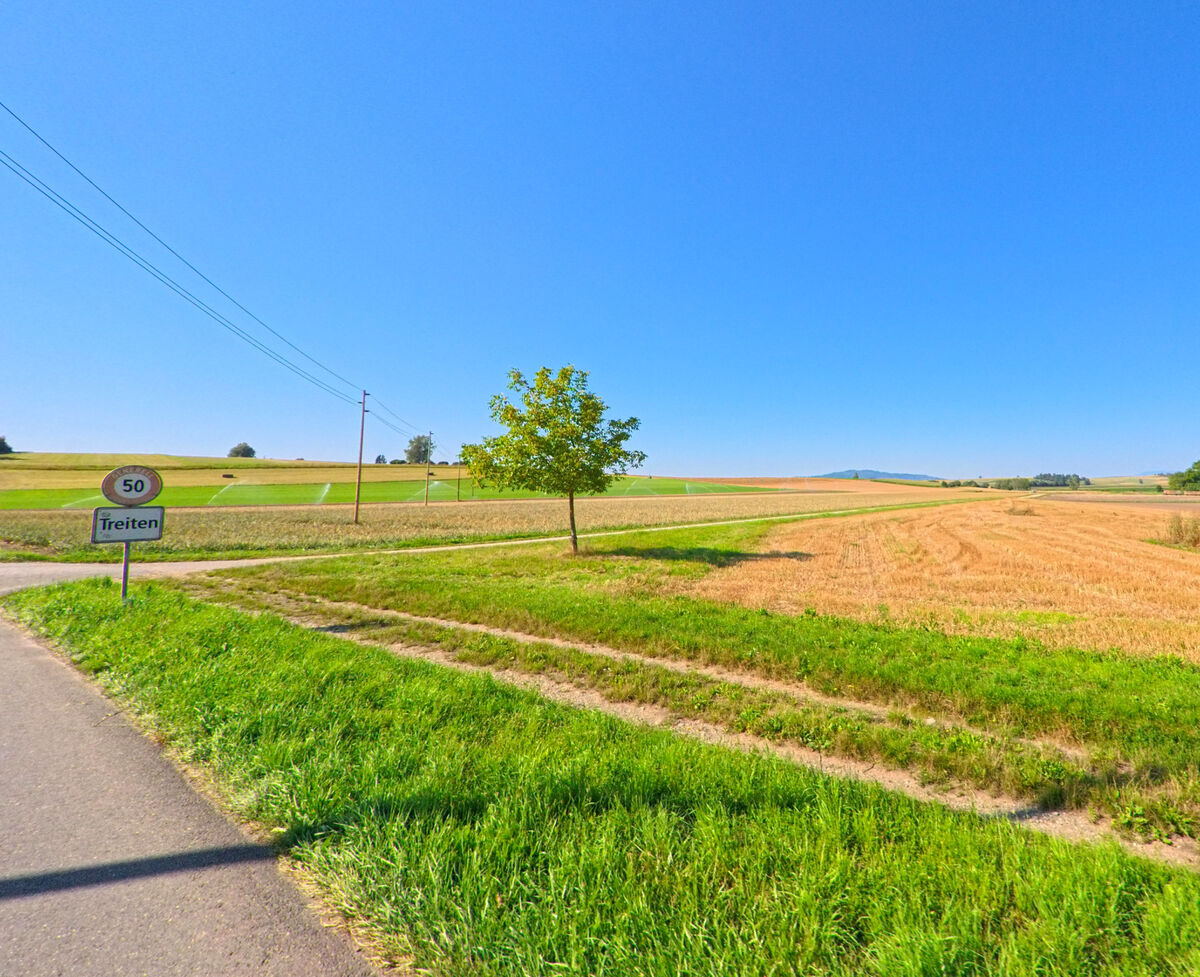 Am Ortseingang von Treiten (3226, Kanton Bern) führt eine schmale Strasse an weitläufigen Feldern und einem einzelnen Baum vorbei.