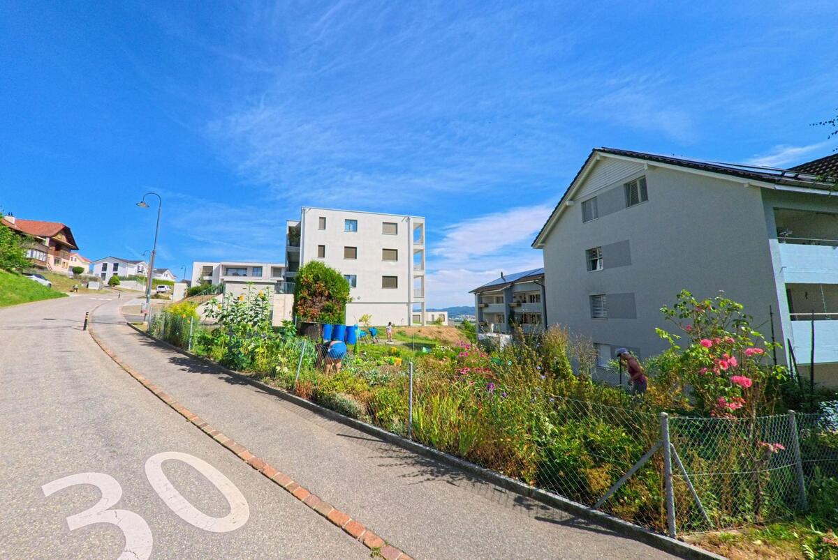 In Triengen (6235, Kanton Luzern) steigt eine Wohnstrasse mit Tempo-30-Markierung sanft an, gesaeumt von modernen Mehrfamilienhaeusern und einem bunt bepflanzten Garten.