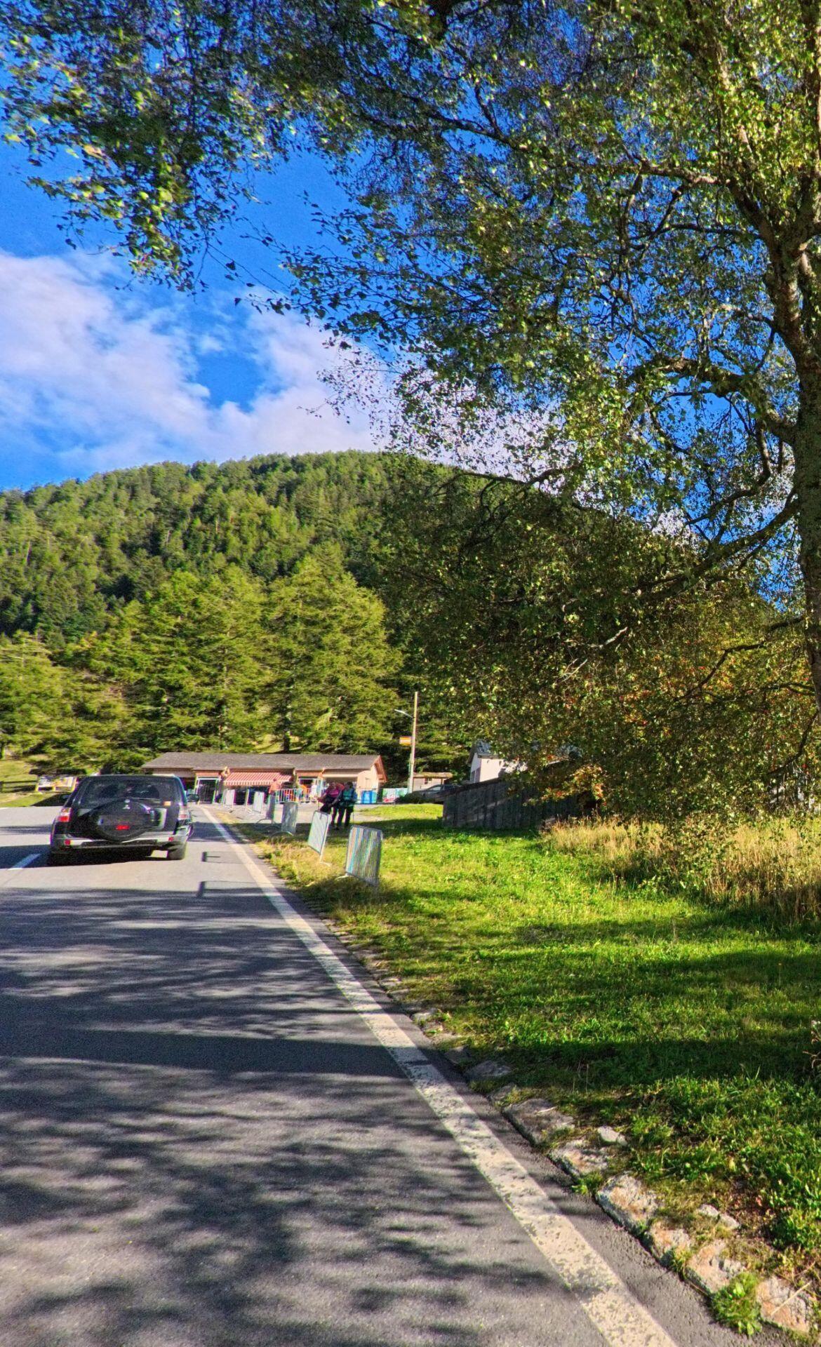 Eine Strasse in Trient (1929, Kanton Wallis) fuehrt an Baeumen vorbei zu kleinen Haeusern am Waldrand, waehrend ein Auto in Richtung Dorf faehrt.