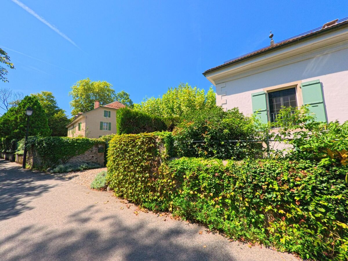 In Troinex (1256, Kanton Genf) stehen Haeuser mit gruennen Fensterlaeden hinter dicht bewachsenen Hecken entlang einer schmalen Strasse.
