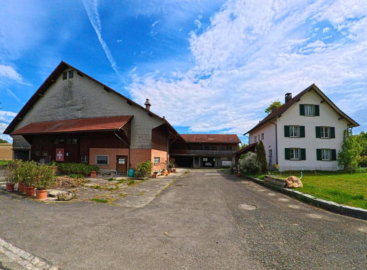 Ein Bauernhof in Truellikon (8466, Kanton Zuerich) mit grosser Scheune, Schweizer Flagge und angrenzendem Wohnhaus mit gruenen Fensterlaeden unter blauem Himmel.