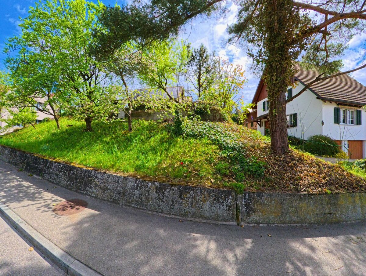Blühende Baeume und ein grasbewachsener Hang liegen vor einem Wohnhaus in Truellikon (8466, Kanton Zuerich) an einer ruhigen Strasse.