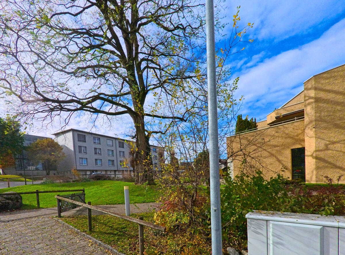 Eine Grünfläche mit Bäumen grenzt an Wohnbauten in Tübach (9327, Kanton St. Gallen).