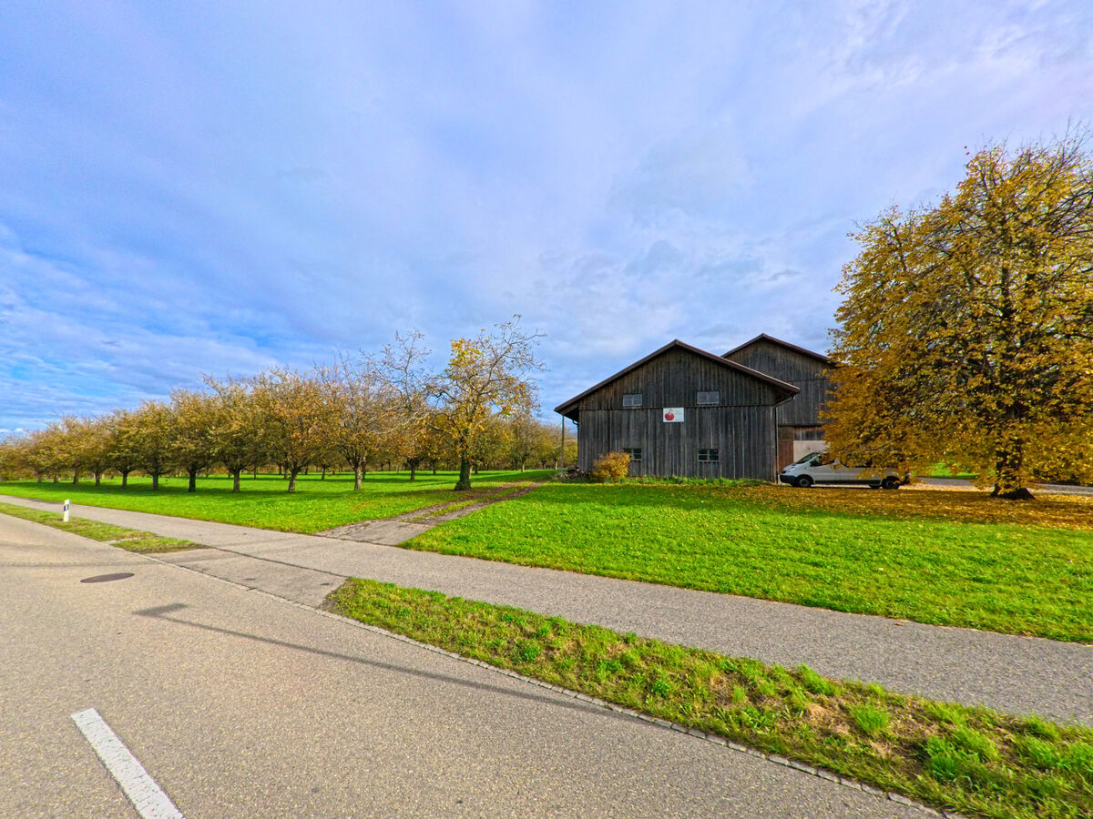 Ein Obstgarten mit Wiese erstreckt sich neben einem Weg in Tuebach (9402, Kanton St. Gallen) im Herbst.