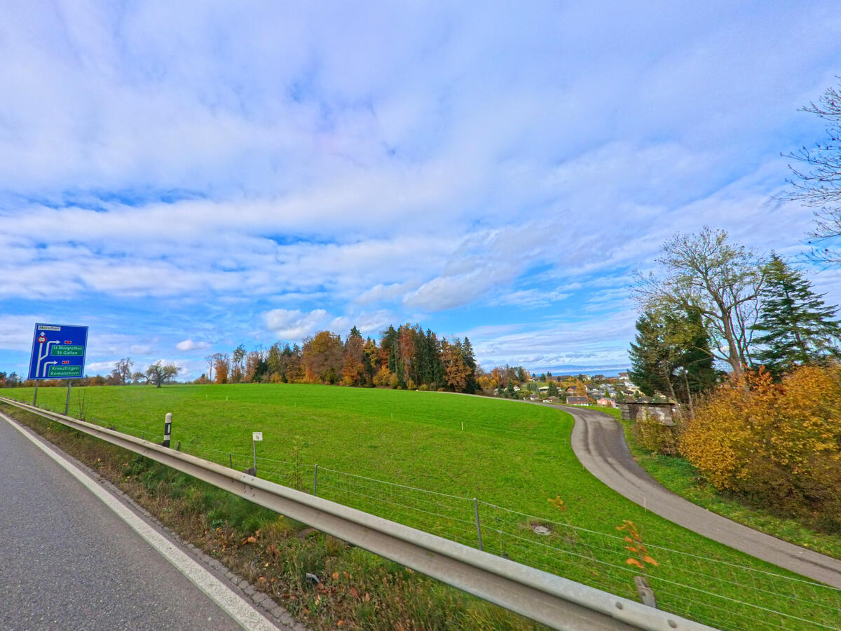 Eine offene Wiesenlandschaft begleitet den Strassenverlauf am Rand von Tübach (9327, Kanton St. Gallen).
