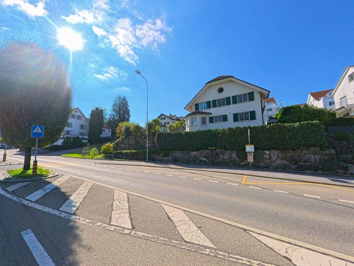 Entlang einer leicht ansteigenden Strasse in Tuggen (8856, Kanton Schwyz) liegen gepflegte Einfamilienhaeuser hinter einer hohen Hecke und einer Felsmauer im Sonnenlicht.