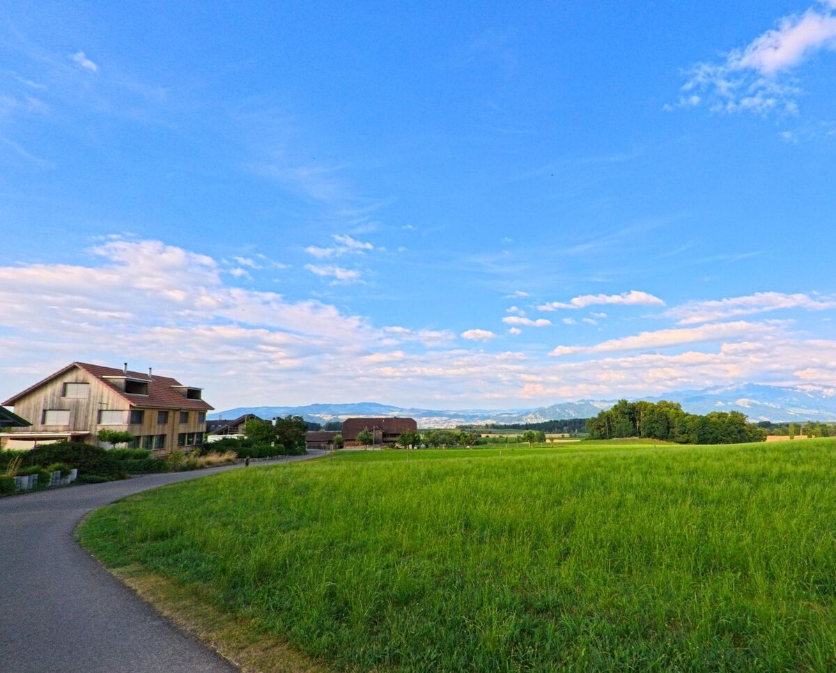 In Uebeschi (3635, Kanton Bern) führt ein schmaler Weg an Einfamilienhäusern und grünen Feldern vorbei mit freiem Blick auf Waldstücke und das entfernte Alpenpanorama.