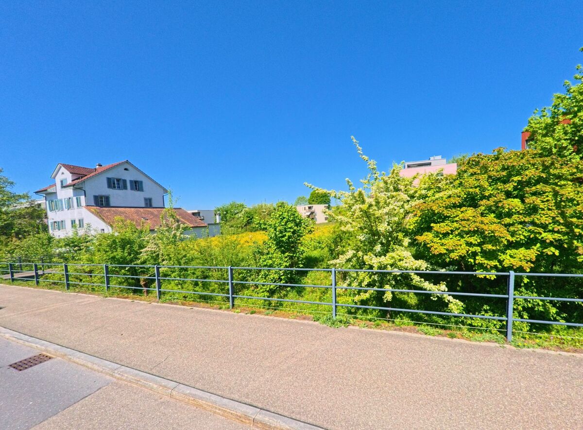 Entlang eines Geländers verläuft in Uetikon am See (8707, Kanton Zürich) ein Fussweg mit Blick auf blühende Sträucher und ein freistehendes Wohnhaus.