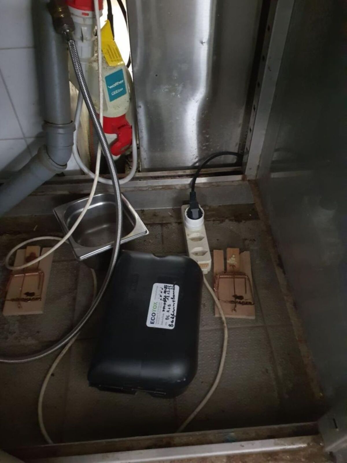 In Urdorf (PLZ 8902, Kanton Zürich) sind Rattenfallen und ein Elektroschädlingsbekämpfungsgerät in einem Raum neben Rohren und Kabeln zu sehen.