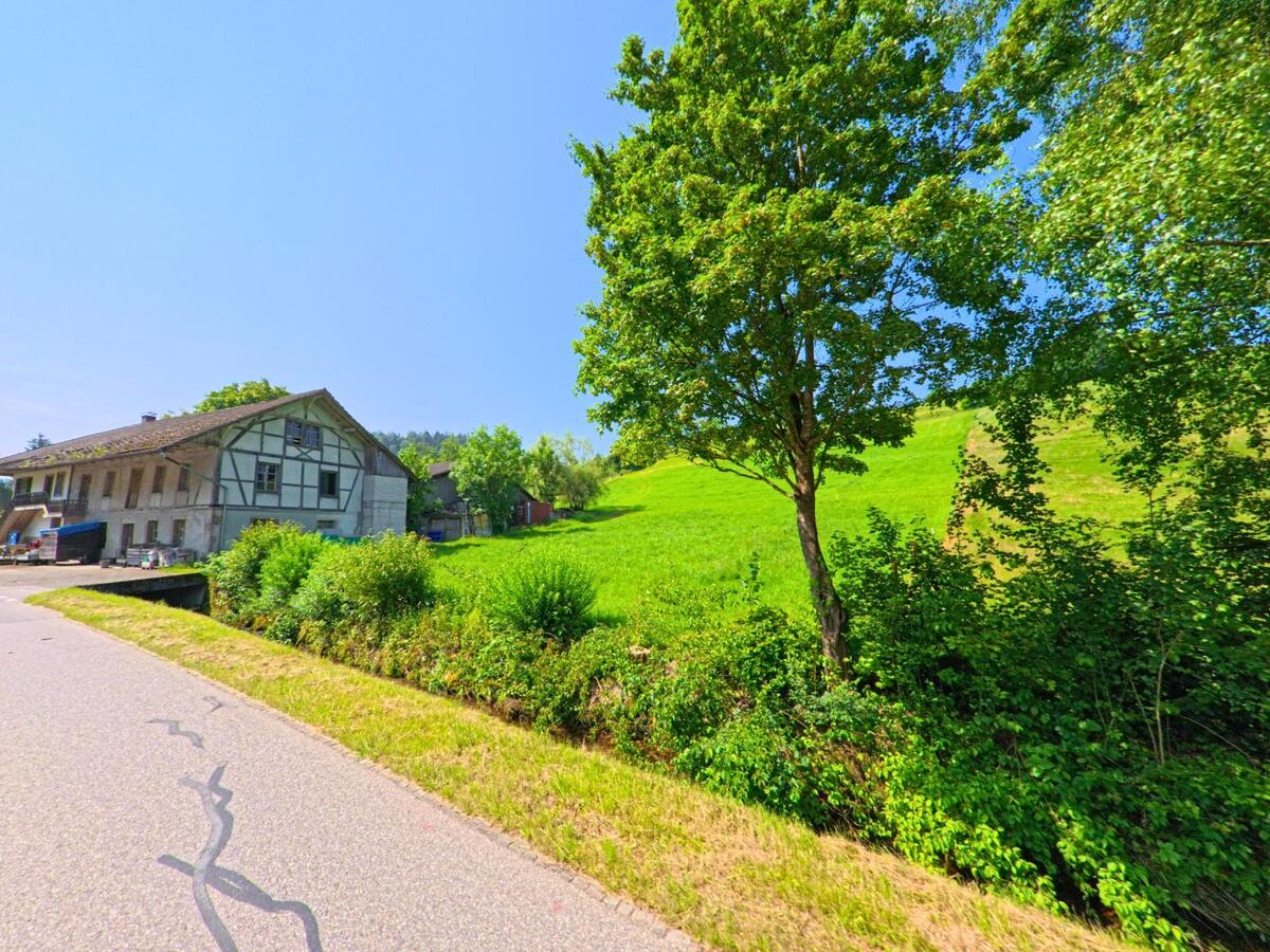 Am Rand von Ursenbach (4937, Kanton Bern) steht ein Bauernhaus mit Fachwerkelementen neben saftig gruener Wiese und schattenspendenden Baeumen an einem sonnigen Sommertag.